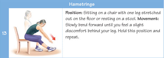 Hamstrings