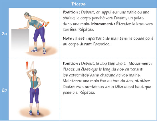 Voici des exemples d'exercices de renforcement musculaire 