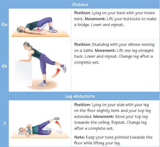 Gluteus