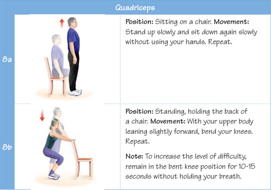 Quadriceps