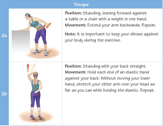 Triceps