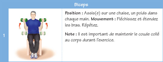 Biceps