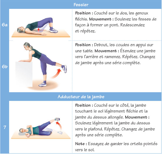 Fessier