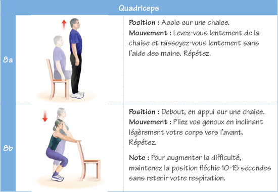 Quadriceps