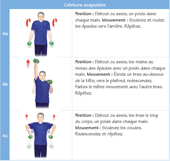 Ceinture scapulaire