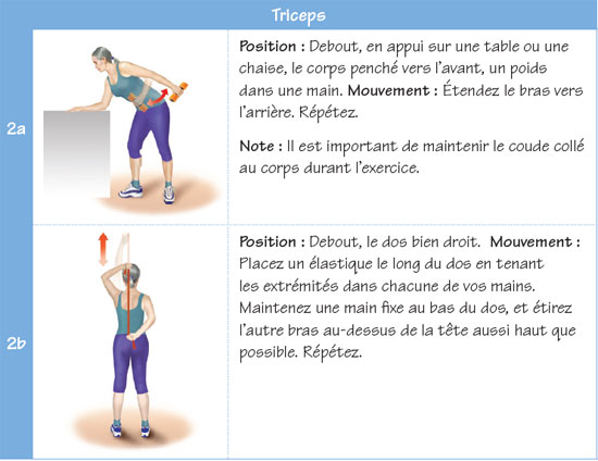 Triceps